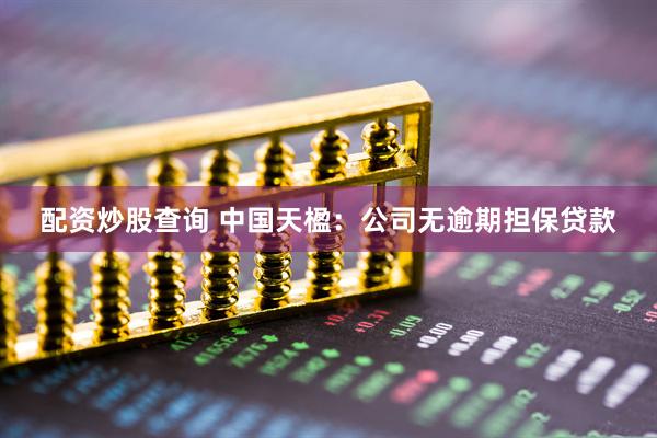 配资炒股查询 中国天楹：公司无逾期担保贷款